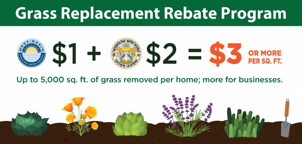 Grass Replacement Rebates Program 