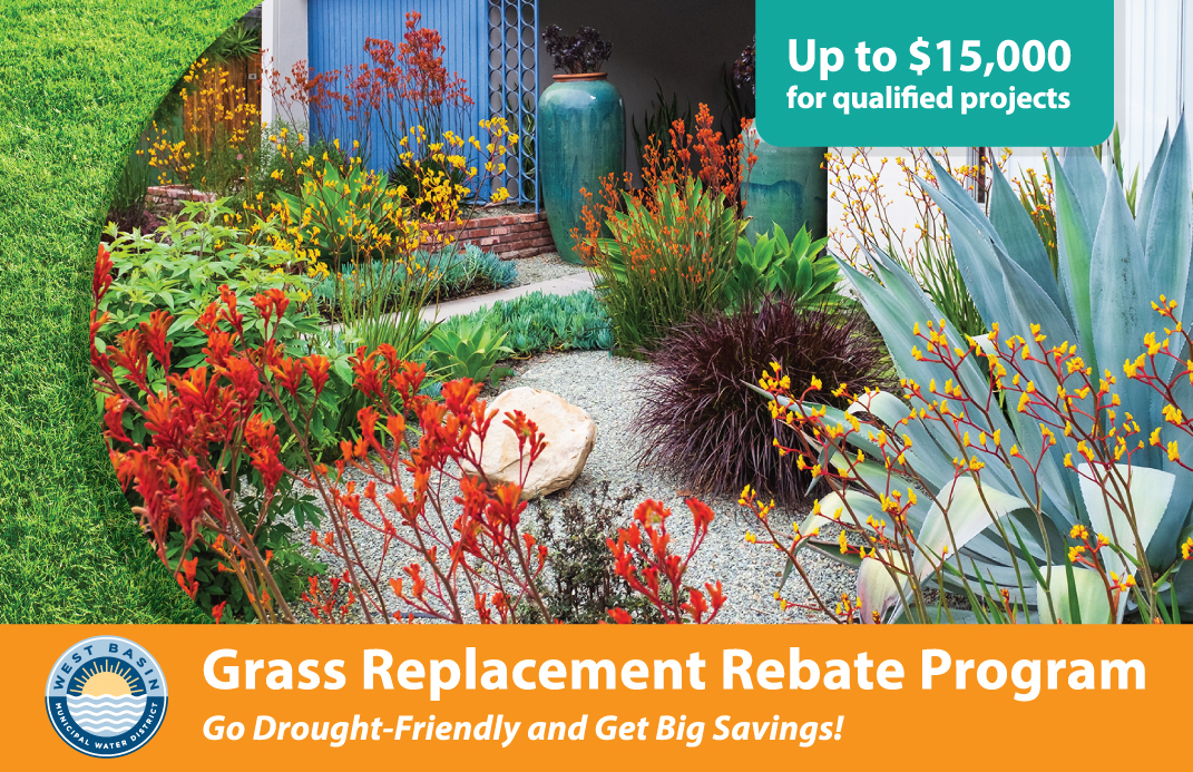 west-basin-grass-replacement-rebate-program-go-drought-friendly-and-get-big-savings