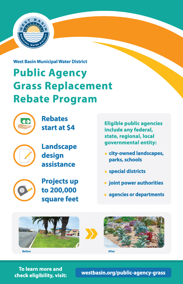 public-agency-grass-replacement-rebate-program